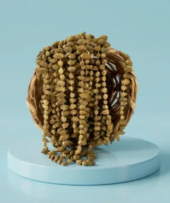 Alternativ bild av Torkad okra ~ Bamyayê Hîşk