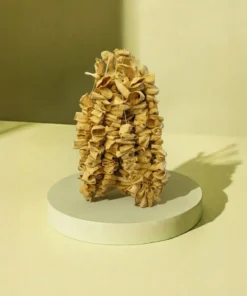 Alternativ bild av Torkad zucchini (1 rad – 50 st) ~ Kêl a Hîşk (1 Rîz – 50 Hevî)